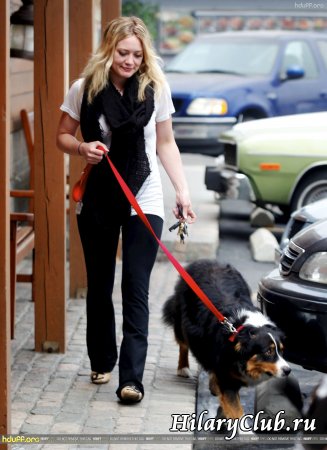 Хилари привозит в ветеринарную клинику своих собачек
