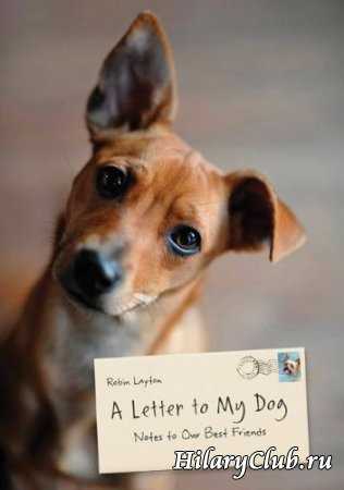 A Letter To My Dog